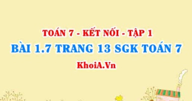 Bài 1.7 trang 13 SGK Toán 7 tập 1 Kết nối tri thức